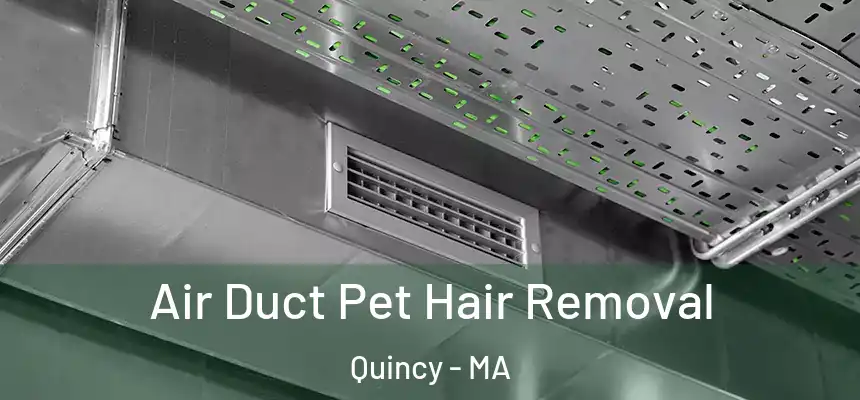 Air Duct Pet Hair Removal Quincy - MA