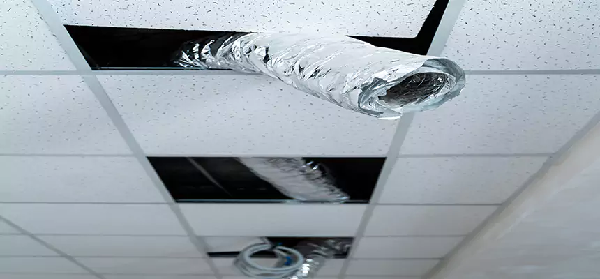 Our Air Duct Pet Hair Removal Services in Quincy, MA