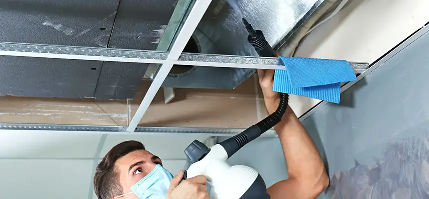 Our Air Duct Rodent Removal Services in Quincy, MA