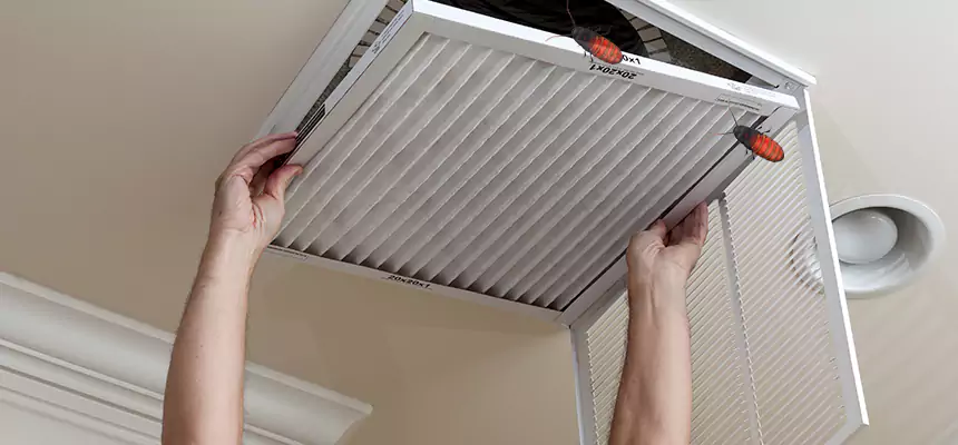 Our Insect Removal from Air Ducts Services in Quincy, MA