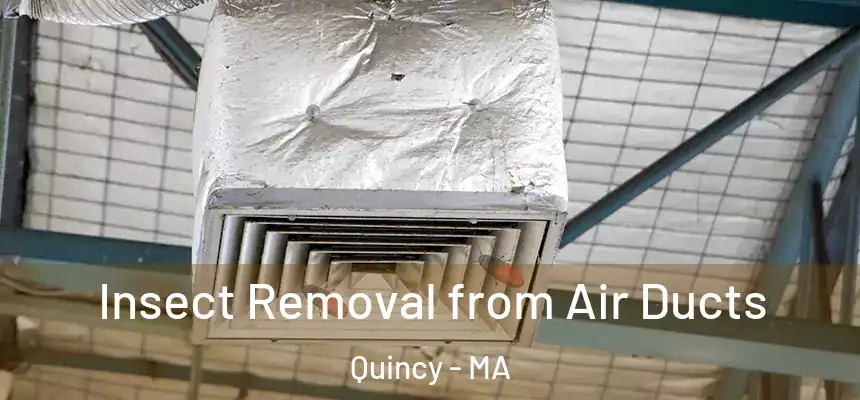 Insect Removal from Air Ducts Quincy - MA