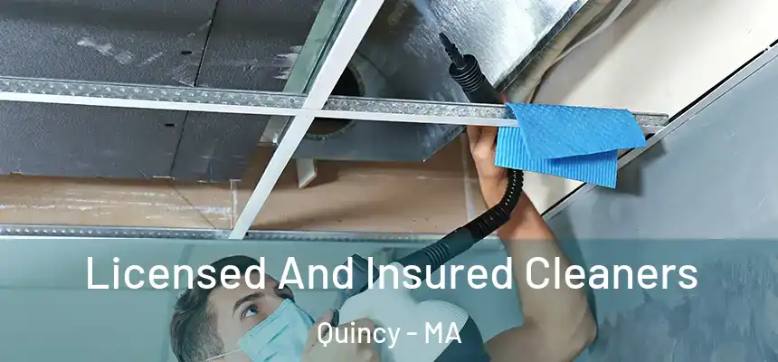 Licensed And Insured Cleaners Quincy - MA