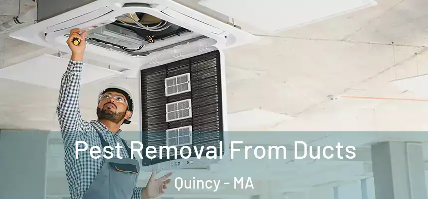 Pest Removal From Ducts Quincy - MA