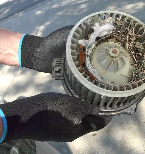 About Air Duct Mice Removal in Quincy, MA