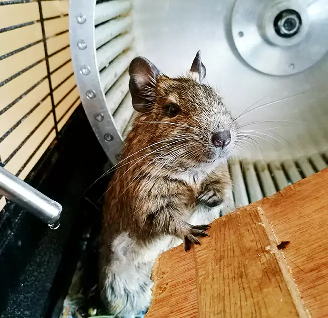 Why Homeowners & Businesses Trust Us Quincy, MA