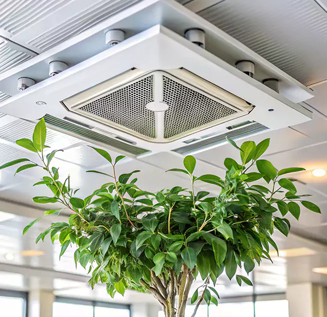 Why Homeowners & Businesses Trust Us in Quincy, MA