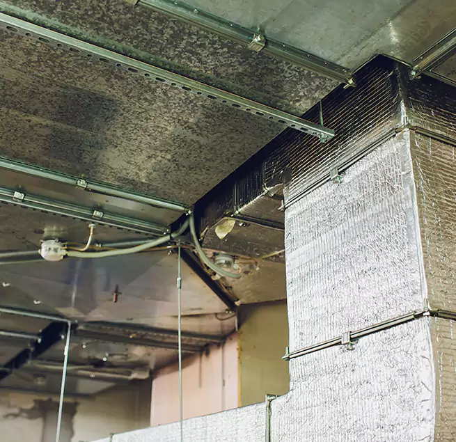 Why Homeowners & Businesses Trust Us in Quincy, MA?